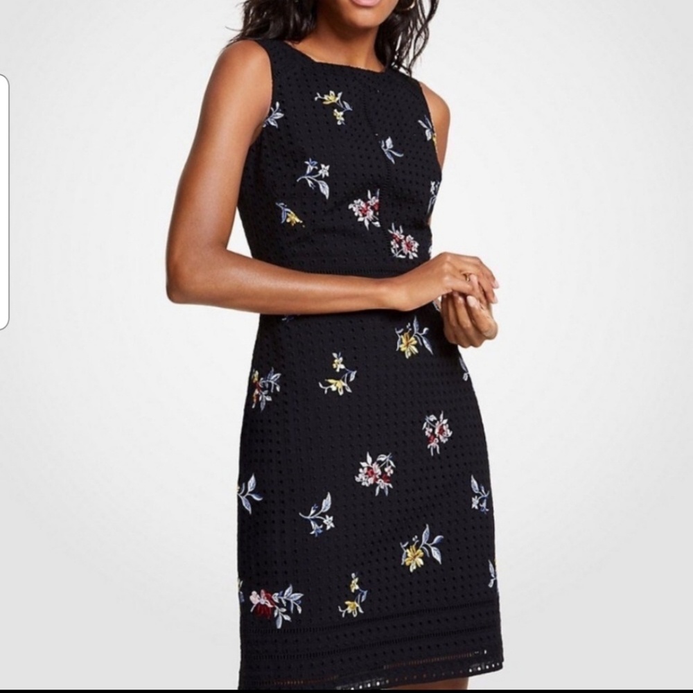 NWT Ann Taylor embroidered dress